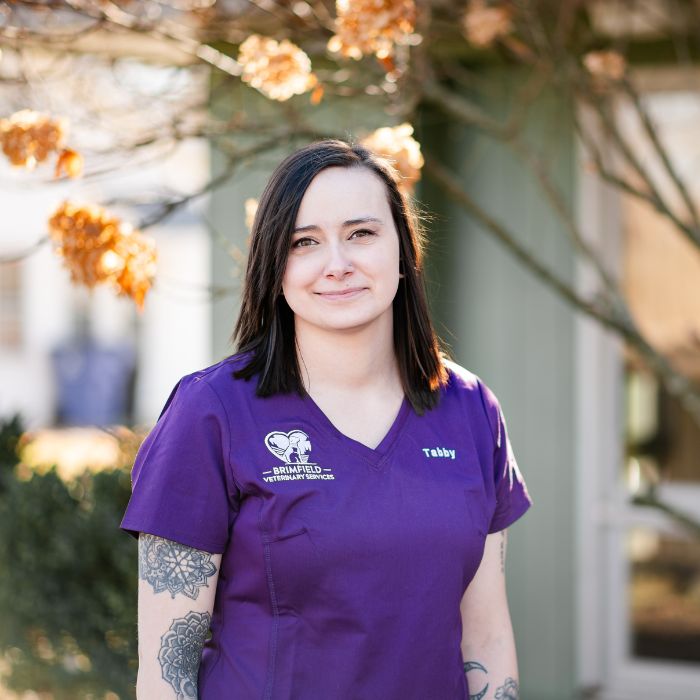 Amie Foster Veterinary Assistant